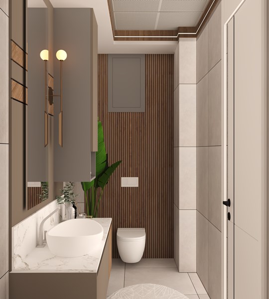 3-1-215-m2-GİRİŞ WC1 3 1 215 m2 GİRİŞ WC1