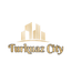 turkuaz_city turkuaz_city
